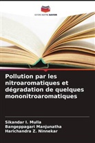 Sikandar I. Mulla, Bangeppagari Manjunatha, Harichandra Z. Ninnekar - Pollution par les nitroaromatiques et dégradation de quelques mononitroaromatiques