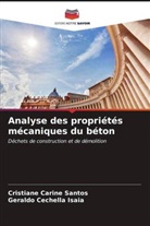Geraldo Cechella Isaia, Cristiane Carine Santos - Analyse des propriétés mécaniques du béton