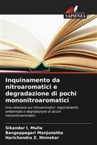 Sikandar I. Mulla, Bangeppagari Manjunatha, Harichandra Z. Ninnekar - Inquinamento da nitroaromatici e degradazione di pochi mononitroaromatici
