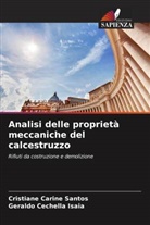 Geraldo Cechella Isaia, Cristiane Carine Santos - Analisi delle proprietà meccaniche del calcestruzzo