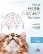 Alberto Barneto, Anna Calvet, Alberto Barneto, Anna Calvet, Salvador Cervantes, Antonio Pena... - Feline surgery