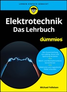 Michael Felleisen - Elektrotechnik für Dummies. Das Lehrbuch