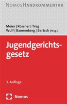 Britta Bannenberg, Tillmann Bartsch, Bernd-Dieter Meier, Dieter Rössner, Gerson Trüg, Gerson Trüg u a... - Jugendgerichtsgesetz