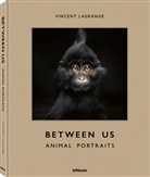 Vincent Lagrange - Between Us
