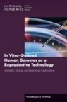 Board On Health Sciences Policy, Health And Medicine Division, National Academies Of Sciences Engineeri, National Academies of Sciences Engineering and Medicine - In Vitro-Derived Human Gametes as a Reproductive Technology