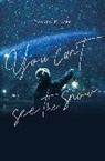 Taylor Engel, Rokudo Ningen, Rokudo Ningen - You Can't See the Snow