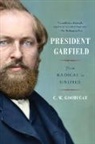 Cw Goodyear, C. W. Goodyear, Cw Goodyear - President Garfield