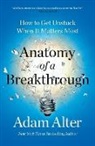 Adam Alter, Adam Alter - Anatomy of a Breakthrough