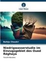 Bahija Choukri - Niedrigwasserstudie im Einzugsgebiet des Oued Réghaya