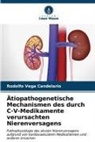 Rodolfo Vega Candelario - Ätiopathogenetische Mechanismen des durch C-V-Medikamente verursachten Nierenversagens