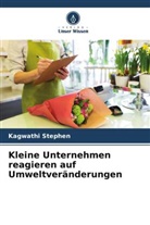 Kagwathi Stephen - Kleine Unternehmen reagieren auf Umweltveränderungen