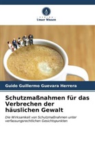 Guido Guillermo Guevara Herrera - Schutzmaßnahmen für das Verbrechen der häuslichen Gewalt