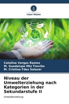 Fd, M. Cristina Fdez Salazar, M Guadalupe Mtz Treviño, M. Guadalupe Mtz Treviño, Catalina Vargas Ramos - Niveau der Umwelterziehung nach Kategorien in der Sekundarstufe II