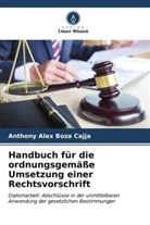 Anthony Alex Boza Cajja - Handbuch für die ordnungsgemäße Umsetzung einer Rechtsvorschrift