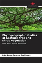 João Paulo Bezerra Rodrigues - Phytogeographic studies of Caatinga tree and shrub vegetation