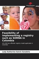 Lady Katherine Galvis Sanabria - Feasibility of implementing a registry such as SORNA in Colombia