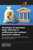 Manvir Kaur, Rohit Kumar - Strategie di gestione delle attività in sofferenza del settore bancario indiano