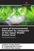 M. Cristina Fdez Salazar, M. Guadalupe Mtz Treviño, Catalina Vargas Ramos - Level of Environmental Education by categories at the Upper Middle School level