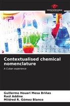 Raúl Addine, Mildred R. Gómez Blanco, Guillermo Houari Mesa Briñas - Contextualised chemical nomenclature