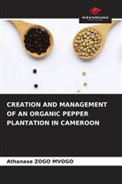 Athanase Zogo Mvogo - CREATION AND MANAGEMENT OF AN ORGANIC PEPPER PLANTATION IN CAMEROON
