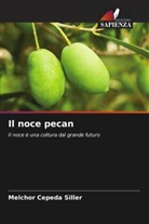 Melchor Cepeda Siller - Il noce pecan