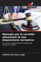 Anthony Alex Boza Cajja - Manuale per la corretta attuazione di una disposizione normativa