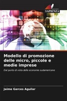 Jaime Garces Aguilar - Modello di promozione delle micro, piccole e medie imprese
