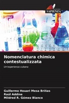 Raúl Addine, Mildred R. Gómez Blanco, Guillermo Houari Mesa Briñas - Nomenclatura chimica contestualizzata