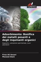 Masood Alam, Firoz Ali Ansari - Adsorbimento: Bonifica dei metalli pesanti e degli inquinanti organici