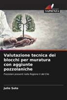 Julio Soto - Valutazione tecnica dei blocchi per muratura con aggiunte pozzolaniche