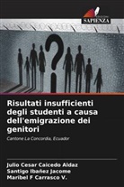 Julio Cesar Caicedo Aldaz, Maribel F Carrasco V., Santigo Ibañez Jacome - Risultati insufficienti degli studenti a causa dell'emigrazione dei genitori