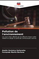 Fernando Martín Bertone, Analía Verónica Gallaratto - Pollution de l'environnement