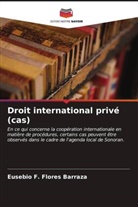 Eusebio F. Flores Barraza - Droit international privé (cas)