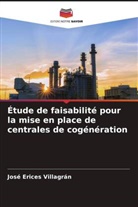José Erices Villagrán - Étude de faisabilité pour la mise en place de centrales de cogénération