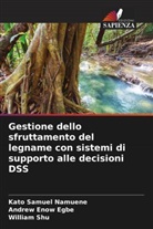 Andrew Enow Egbe, Kato Samuel Namuene, William Shu - Gestione dello sfruttamento del legname con sistemi di supporto alle decisioni DSS