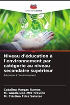 M. Cristina Fdez Salazar, M. Guadalupe Mtz Treviño, Catalina Vargas Ramos - Niveau d'éducation à l'environnement par catégorie au niveau secondaire supérieur