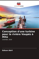 Edison Abril - Conception d'une turbine pour la rivière Vaupés à Mitú