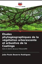João Paulo Bezerra Rodrigues - Études phytogéographiques de la végétation arborescente et arbustive de la Caatinga
