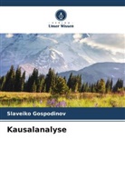 Slaveiko Gospodinov - Kausalanalyse