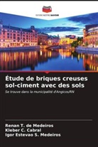 Kleber C. Cabral, Renan T. de Medeiros, Igor Estevão S. Medeiros - Étude de briques creuses sol-ciment avec des sols