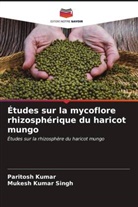 Paritosh Kumar, Mukesh Kumar Singh - Études sur la mycoflore rhizosphérique du haricot mungo