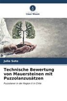 Julio Soto - Technische Bewertung von Mauersteinen mit Puzzolanzusätzen