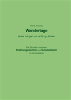 Rolf B Theuring, Rolf B. Theuring - Wandertage eines Jungen vor achtzig Jahren