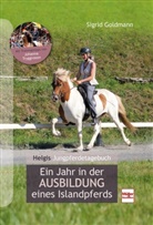 Sigrid Goldmann - Helgis Jungpferdetagebuch