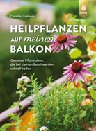Christina Freiberg - Heilpflanzen auf meinem Balkon
