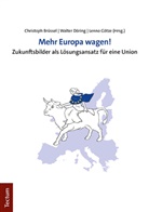 Christoph Brüssel, Walter Döring, Lenno Götze - Mehr Europa wagen!