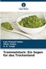 A K SINGH, A. K. Singh, Lalu Prasad Yadav, Vikas Yadav - Trommelstock: Ein Segen für das Trockenland