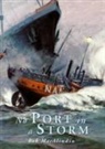 Robert MacAlindin - No Port in a Storm