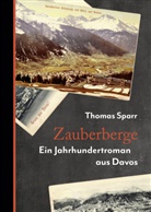 Thomas Sparr - Zauberberge