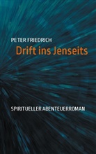Peter Friedrich - Drift ins Jenseits